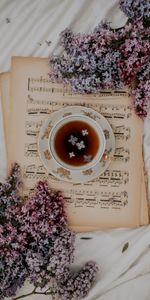 Flowers,Miscellanea,Miscellaneous,Notes,Cup,Lilac,Tea,Music