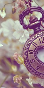 Flowers,Miscellanea,Miscellaneous,Pocket Watch,Form,Background