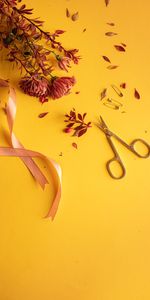 Flowers,Miscellanea,Miscellaneous,Tape,Scissors,Pins,Safety Pins