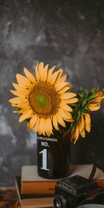 Tournesols,Fleurs,Divers,Caméra,Vase,Livres