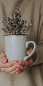 Flowers,Miscellanea,Mug,Cup,Miscellaneous,Hands,Lavender