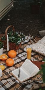 Flowers,Miscellanea,Picnic,Miscellaneous,Book