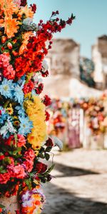 Flowers,Motley,Bouquet,Multicolored,Composition