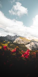 Flowers,Mountains,Clouds,Height,Nature,Vertex,Tops