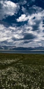 Flowers,Mountains,Clouds,Nature,Field