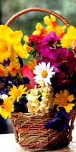 Flowers,Narcissussi,Bouquet,Basket,Muskari,Muscari,Viola,Viol,Hydrangea,Freesia