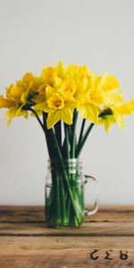 Narcisses,Bouquet,Fleurs,Vase