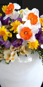 Flores,Ramo,Jarrón,Composición,Fresia,Freesia,Narcisos