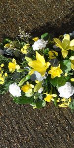 Flowers,Narcissussi,Lilies,Carnations,Shadow,Lisianthus Russell,Lisiantus Russell,Priming,Ground,Composition,Freesia