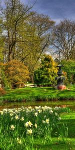 Étang,Narcisses,Statues,Nature,Fleurs,Jardin,Bouddha