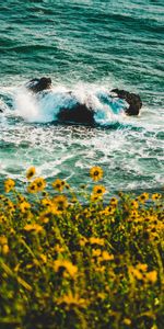 Flowers,Nature,Spray,Waves,Splash