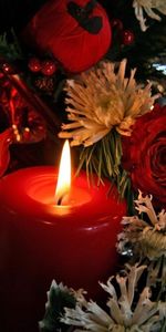 Flowers,New Year,Holidays,Christmas Xmas,Candles