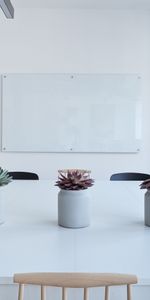 Flowers,Office,Miscellanea,Miscellaneous,Table