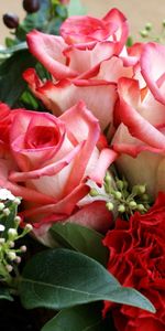 Roses,Bouquets,Plantas,Flores