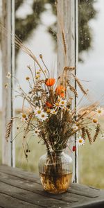 Flowers,Poppies,Cones,Bouquet,Spikelets,Camomile