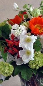 Flowers,Poppies,Lilac,Narcissussi,Bouquet,Vase,Composition,Hydrangea