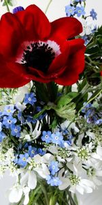 Flowers,Poppy,Cornflower,Forget Me Nots,Bouquet,Field