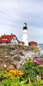 Flowers,Rocks,Bank,Berry,Lighthouse,Herbs,Herbage,Nature,Sea,Shore,Landscape