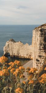 Roches,Fleurs,Les Rochers,Horizon,Côte,Nature