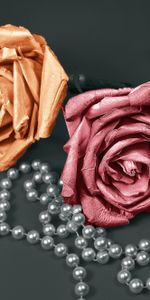 Flowers,Rose,Decoration,Rose Flower,Beads