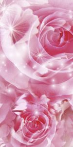 Flowers,Roses,Background