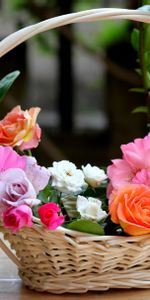 Panier,Composition,Fleurs,Roses,Jardin