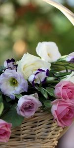 Flowers,Roses,Blur,Smooth,Basket,Lisianthus Russell,Lisiantus Russell