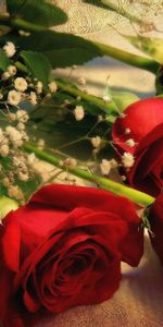 Gypsophile,Gipsophile,Nappe De Table,Nappe,Fleurs,Roses,Bouquet