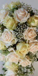 Flores,Ramo,Gypsophilus,Sensibilidad,Roses,Ternura,Gitano