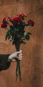 Flowers,Roses,Bouquet,Hand,Wall