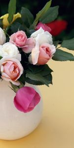 Flowers,Roses,Bouquet,Jug,Table