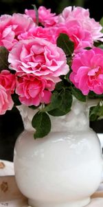 Flowers,Roses,Bouquet,Jug,Table