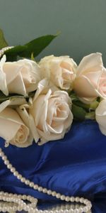 Flowers,Roses,Bouquet,Pillow,Pearl,Beads