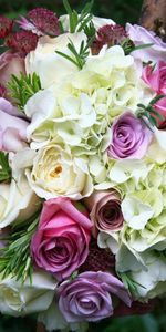 Flores,Ramo,Agudeza,Hortensias,Astrantia,Astration,Roses,Nitidez