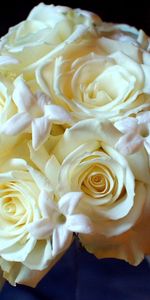 Tendresse,Blanc Comme Neige,Bouquet,Fleurs,Roses