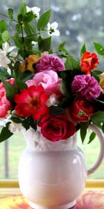 Flowers,Roses,Branches,Bouquet,Jug,Window,Tray,Jasmine