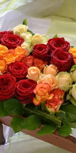 Flowers,Roses,Buds,Note,Bed,Different,Cart