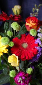 Flowers,Roses,Chrysanthemum,Gerberas,Greens,Bouquet,Composition,Levkoy,Gillyflower