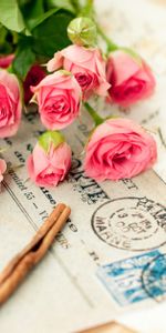 Flowers,Roses,Cinnamon,Bouquet,Letter