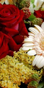 Flowers,Roses,Gerberas,Bouquet,Composition