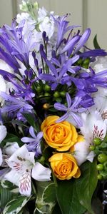 Freesia,Feuilles,Baies,Alstroemeria,Bouquet,Fleurs,Roses