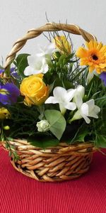 Flowers,Roses,Leaves,Gerberas,Basket,Irises,Lukoshko,Composition