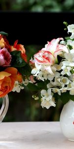 Lilies,Jasmin,Cruches,Fleurs,Bouquets,Roses