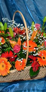 Flowers,Roses,Lilies,Gerberas,Cloth,Gipsophile,Basket,Gypsophilus,Composition