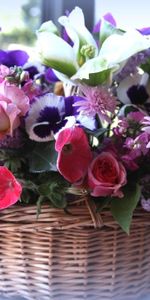 Flowers,Roses,Lot,Basket,Different,Petunia,Lilac