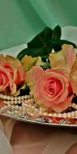 Perle,Fleurs,Perles,Chapelet,Trois,Plateau,Roses