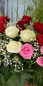 Fleurs,Gypsophile,Gipsophile,Inscription,Typographie,Bouquet,Roses,Beauté