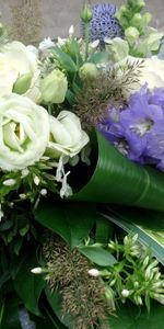 Fleurs,Verdure,Inscription,Légumes Verts,Typographie,Bouquet,Roses,Beauté