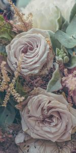 Flowers,Roses,Registration,Typography,Bouquet,Composition