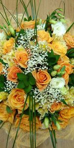 Flowers,Roses,Typography,Registration,Beauty,Bouquet,Gipsophile,Delicate,Gentle,Gypsophilus